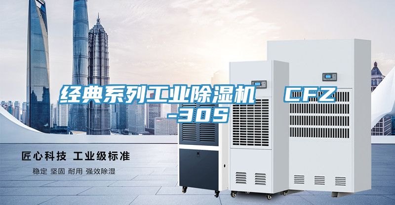 经典系列工业91免费网站在线观看  CFZ-30S