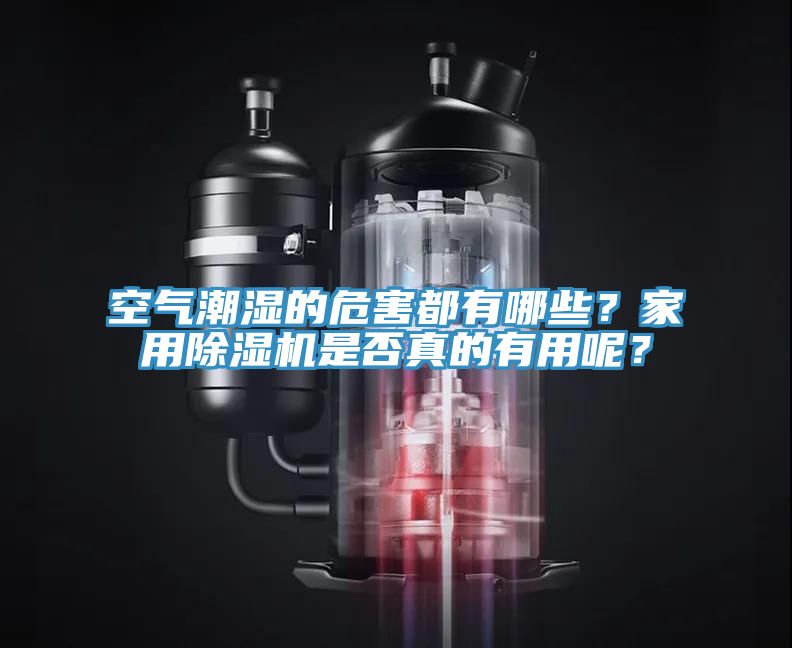 空气潮湿的危害都有哪些？家用91免费网站在线观看是否真的有用呢？