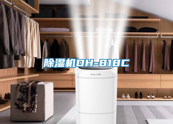 91免费网站在线观看DH-818C