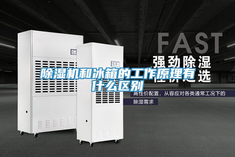 91免费网站在线观看和冰箱的工作原理有什么区别
