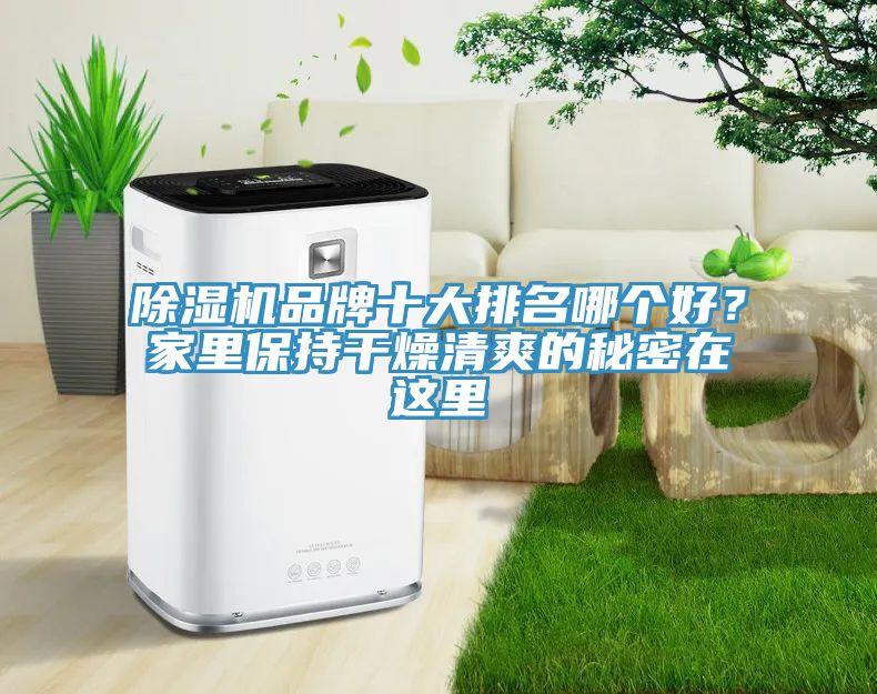 91免费网站在线观看品牌十大排名哪个好？家里保持干燥清爽的秘密在这里