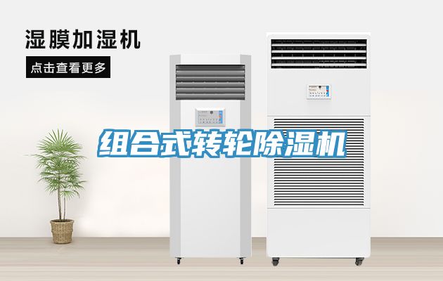 组合式转轮91免费网站在线观看