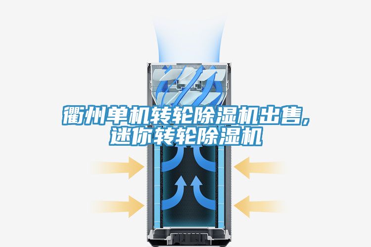 衢州单机转轮91免费网站在线观看出售,迷你转轮91免费网站在线观看