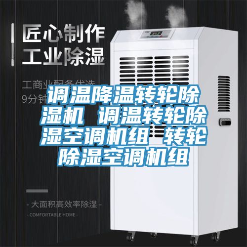 调温降温转轮91免费网站在线观看 调温转轮除湿空调机组 转轮除湿空调机组