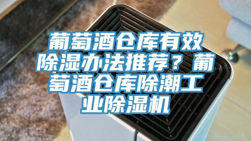 葡萄酒仓库有效除湿办法推荐？葡萄酒仓库除潮工业91免费网站在线观看
