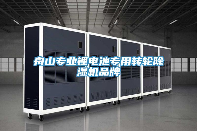 舟山专业锂电池专用转轮91免费网站在线观看品牌