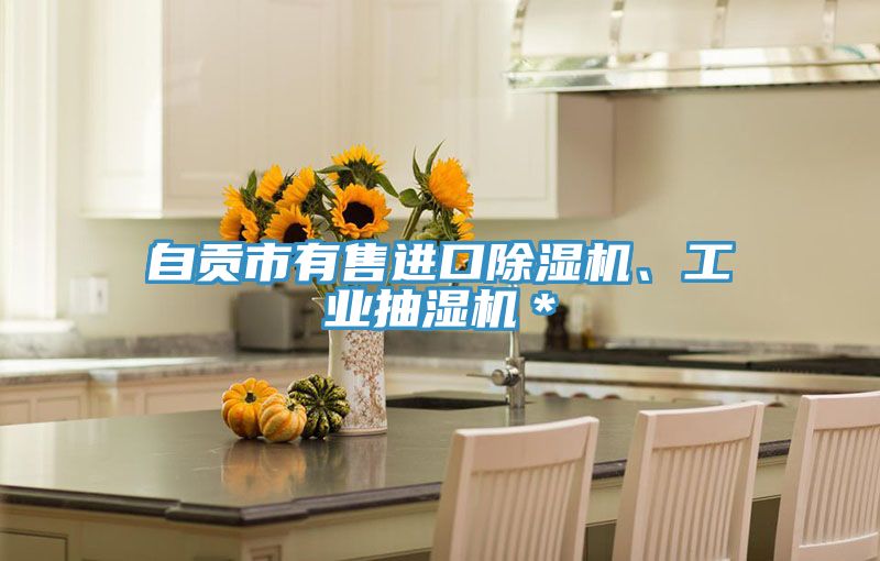 自贡市有售进口91免费网站在线观看、工业抽湿机＊
