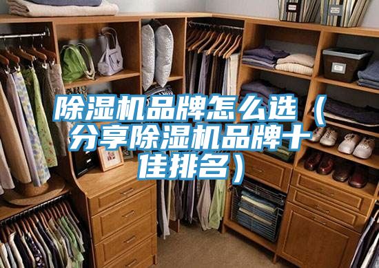 91免费网站在线观看品牌怎么选（分享91免费网站在线观看品牌十佳排名）