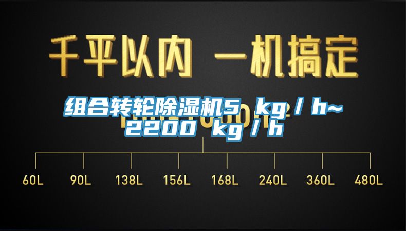 组合转轮91免费网站在线观看5 kg／h~2200 kg／h