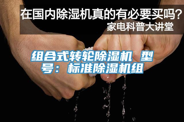 组合式转轮91免费网站在线观看 型号：标准91免费网站在线观看组