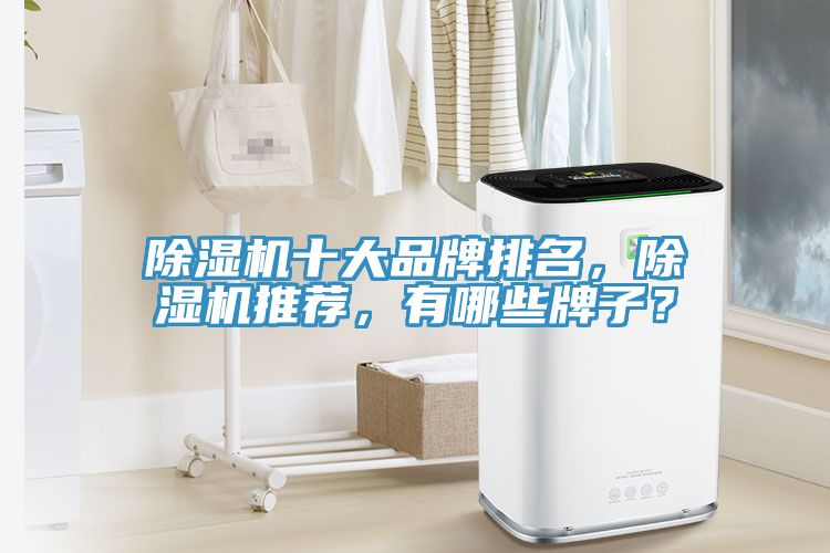 91免费网站在线观看十大品牌排名，91免费网站在线观看推荐，有哪些牌子？