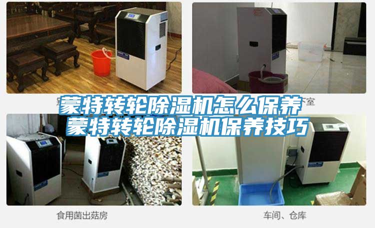 蒙特转轮91免费网站在线观看怎么保养 蒙特转轮91免费网站在线观看保养技巧