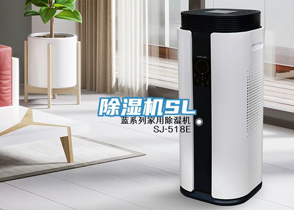91免费网站在线观看SL