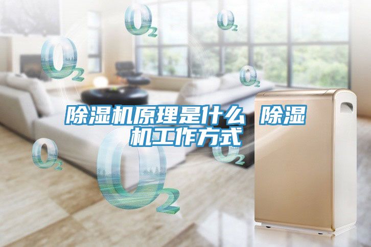 91免费网站在线观看原理是什么 91免费网站在线观看工作方式