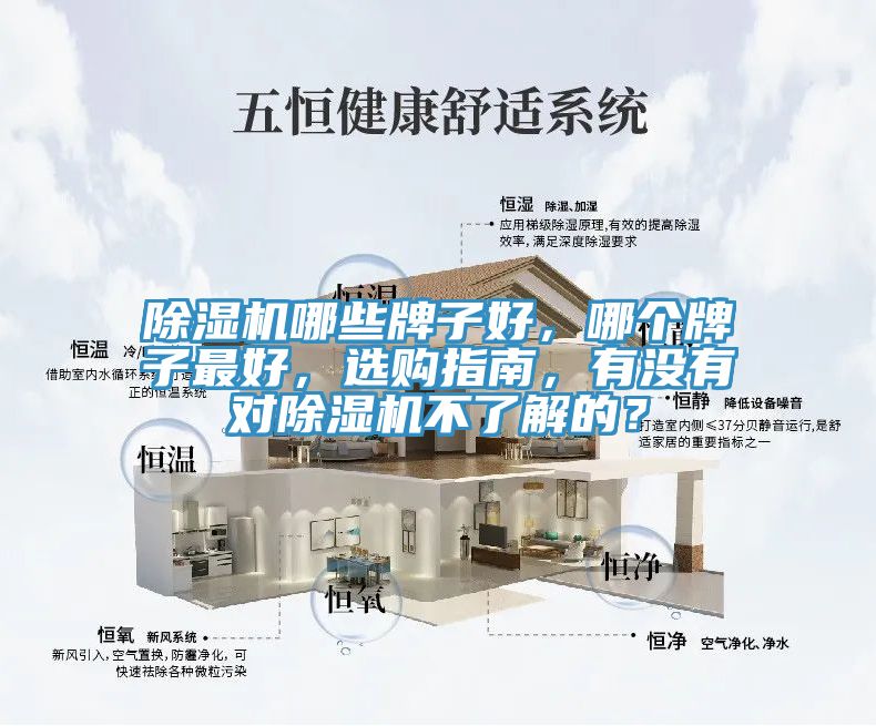 91免费网站在线观看哪些牌子好，哪个牌子最好，选购指南，有没有对91免费网站在线观看不了解的？