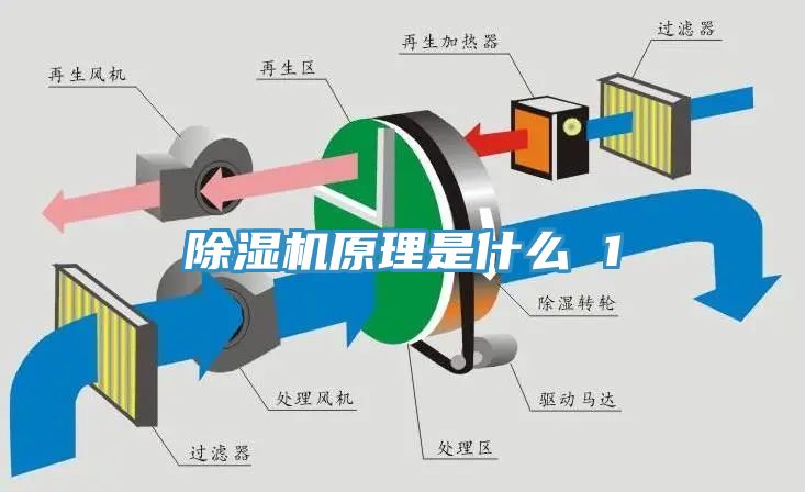 91免费网站在线观看原理是什么 1