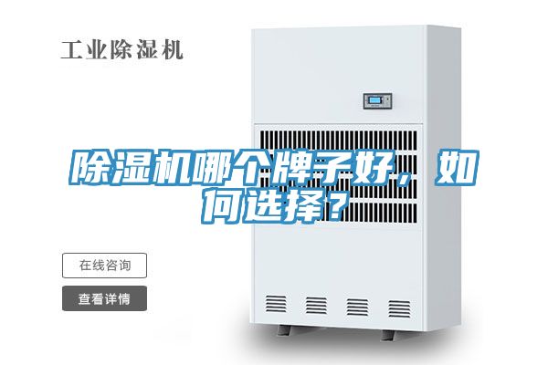 91免费网站在线观看哪个牌子好，如何选择？