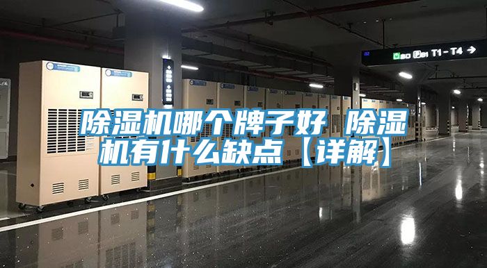 91免费网站在线观看哪个牌子好 91免费网站在线观看有什么缺点【详解】