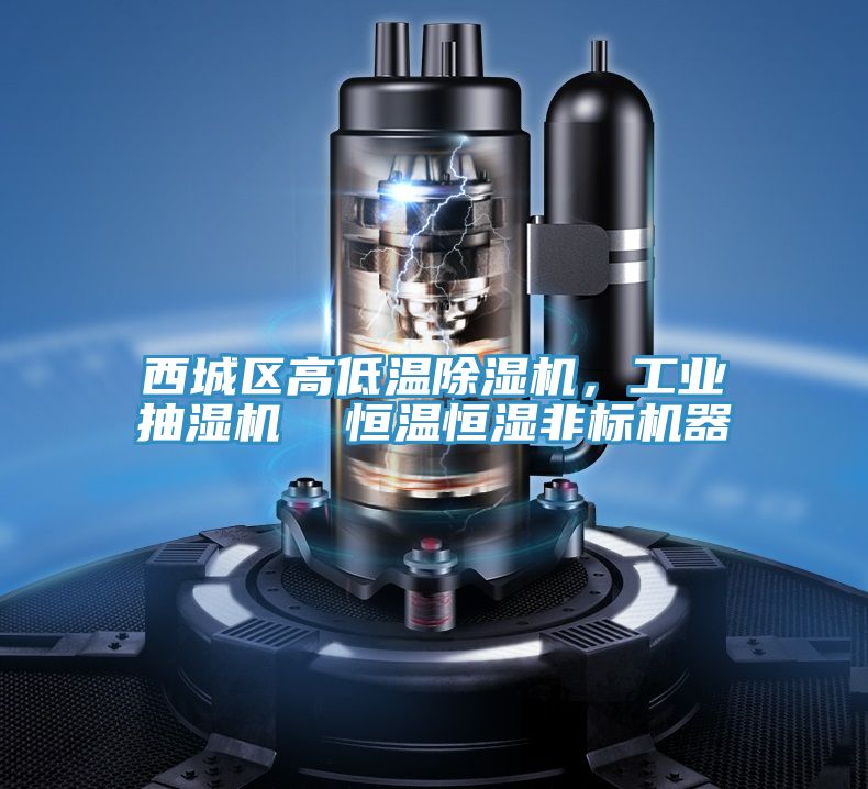 西城区高低温91免费网站在线观看，工业抽湿机  恒温恒湿非标机器