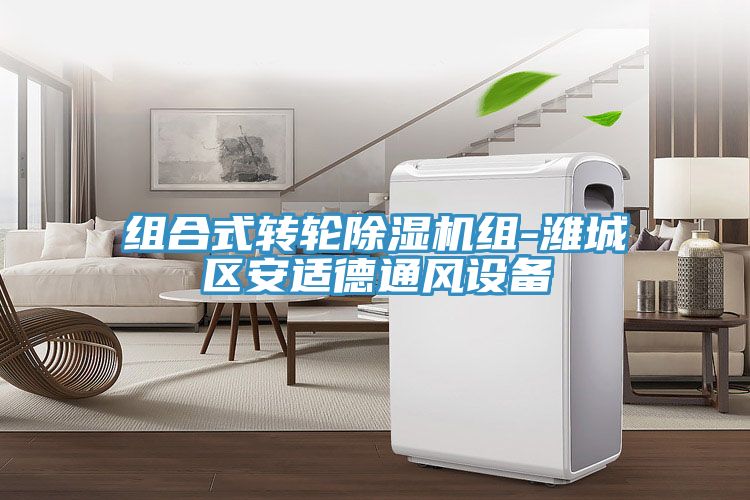 组合式转轮91免费网站在线观看组-潍城区安适德通风设备