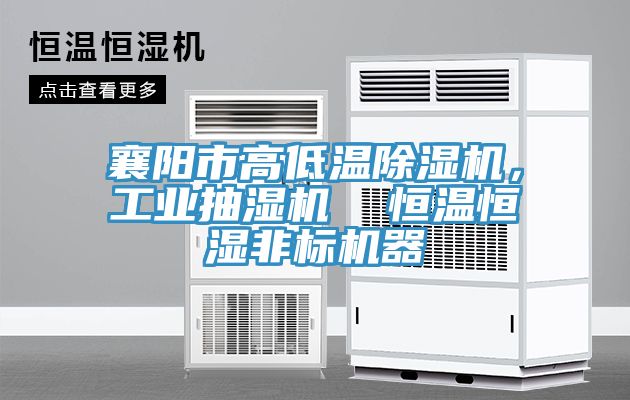 襄阳市高低温91免费网站在线观看，工业抽湿机  恒温恒湿非标机器