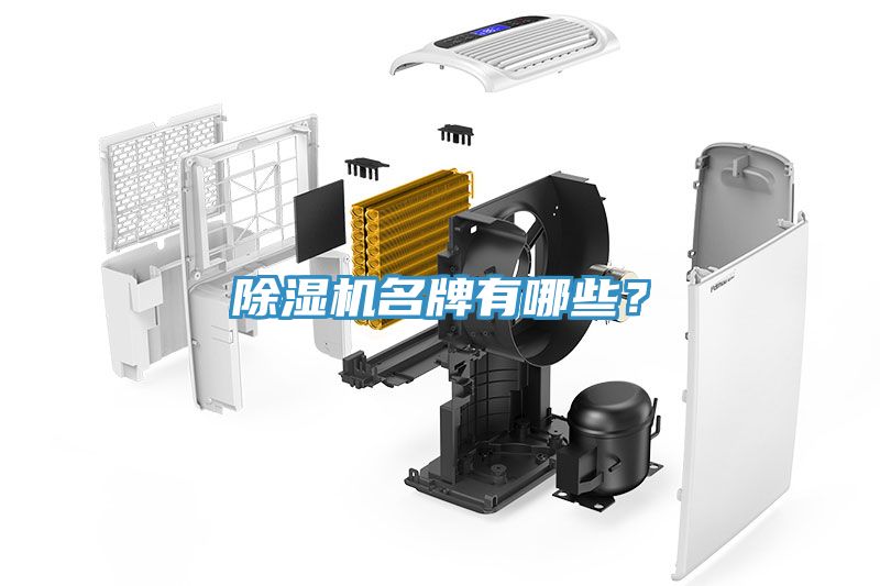 91免费网站在线观看名牌有哪些？