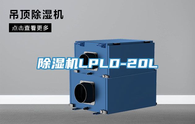 91免费网站在线观看LPLD-20L