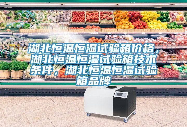 湖北恒温恒湿试验箱价格，湖北恒温恒湿试验箱技术条件，湖北恒温恒湿试验箱品牌