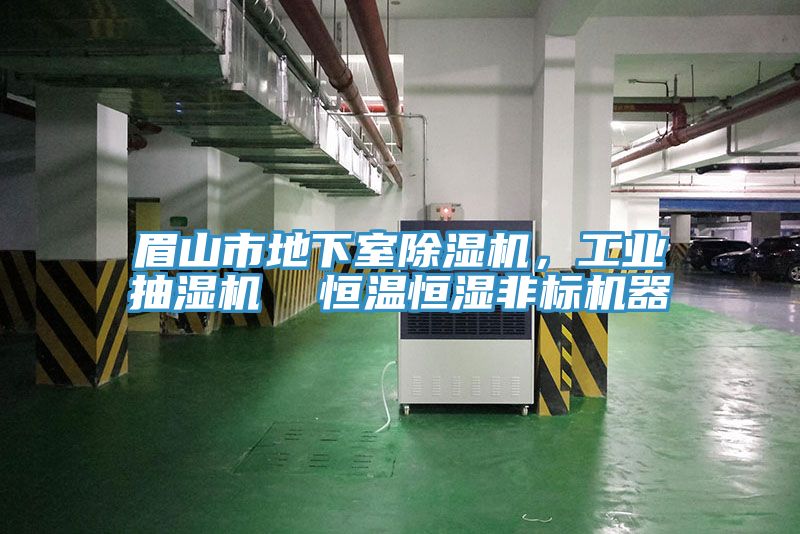 眉山市地下室91免费网站在线观看，工业抽湿机  恒温恒湿非标机器