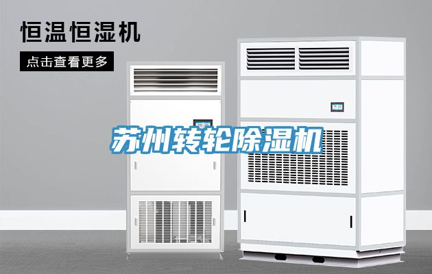 苏州转轮91免费网站在线观看
