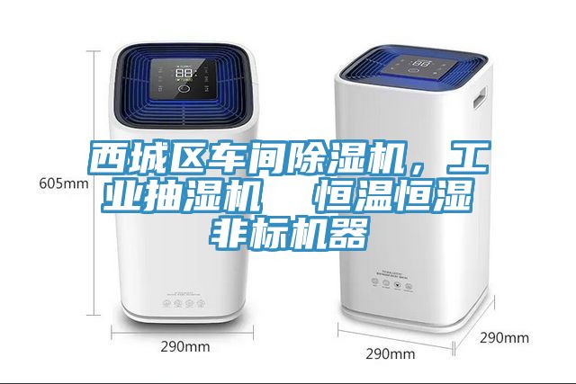 西城区车间91免费网站在线观看，工业抽湿机  恒温恒湿非标机器