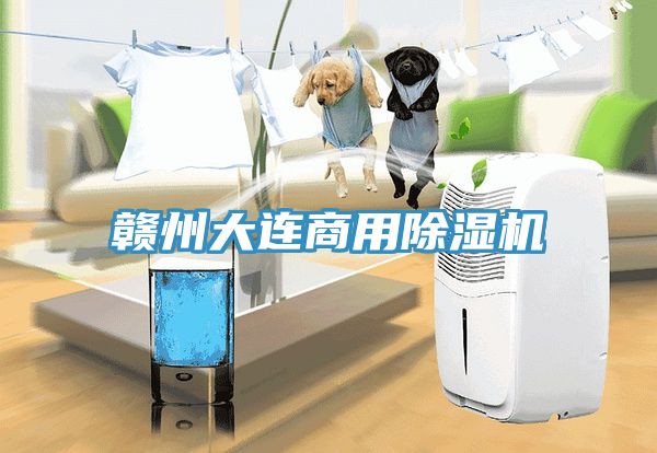 赣州大连商用91免费网站在线观看