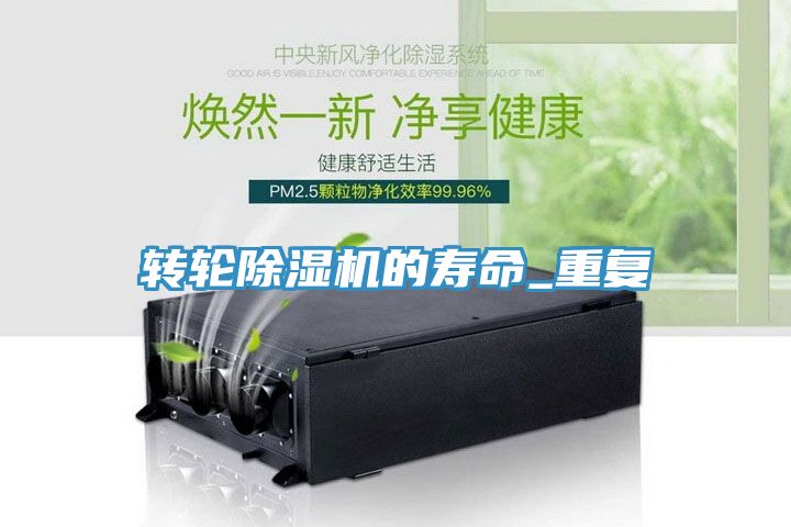 转轮91免费网站在线观看的寿命_重复