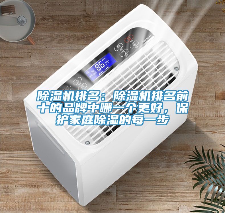 91免费网站在线观看排名：91免费网站在线观看排名前十的品牌中哪一个更好，保护家庭除湿的每一步