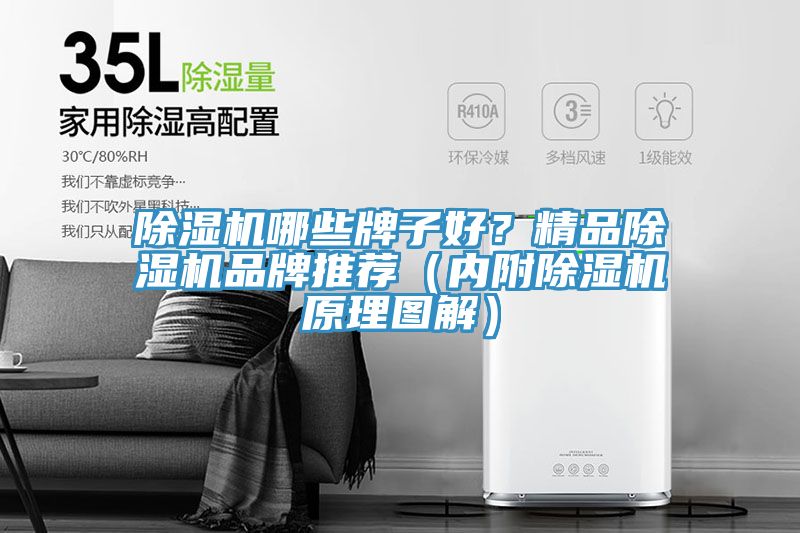 91免费网站在线观看哪些牌子好？精品91免费网站在线观看品牌推荐（内附91免费网站在线观看原理图解）