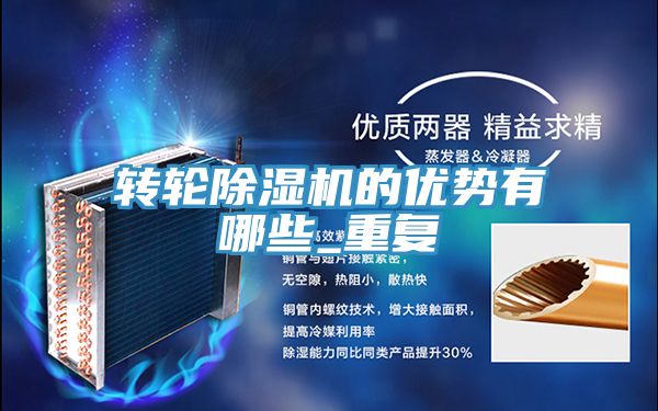 转轮91免费网站在线观看的优势有哪些_重复
