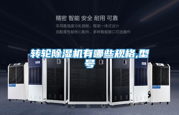 转轮91免费网站在线观看有哪些规格,型号