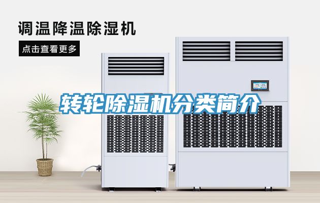 转轮91免费网站在线观看分类简介
