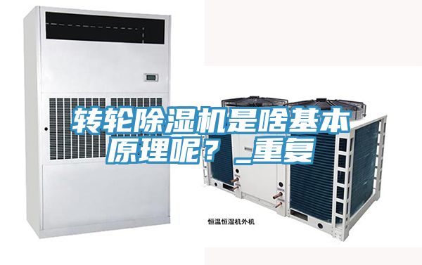 转轮91免费网站在线观看是啥基本原理呢？_重复