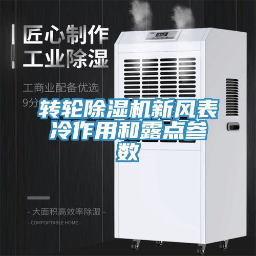 转轮91免费网站在线观看新风表冷作用和露点参数