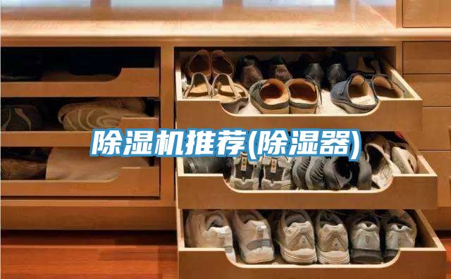 91免费网站在线观看推荐(除湿器)