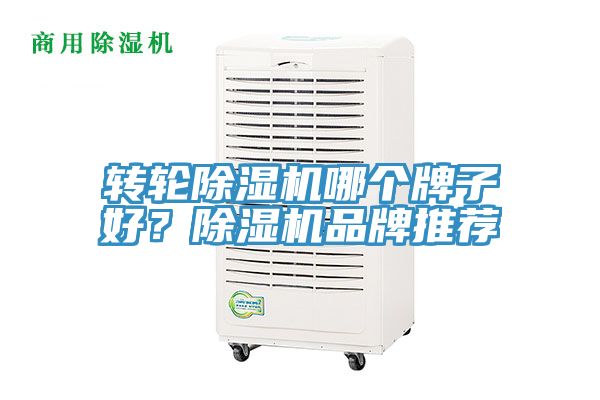 转轮91免费网站在线观看哪个牌子好？91免费网站在线观看品牌推荐