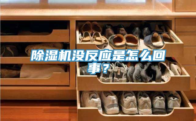91免费网站在线观看没反应是怎么回事？