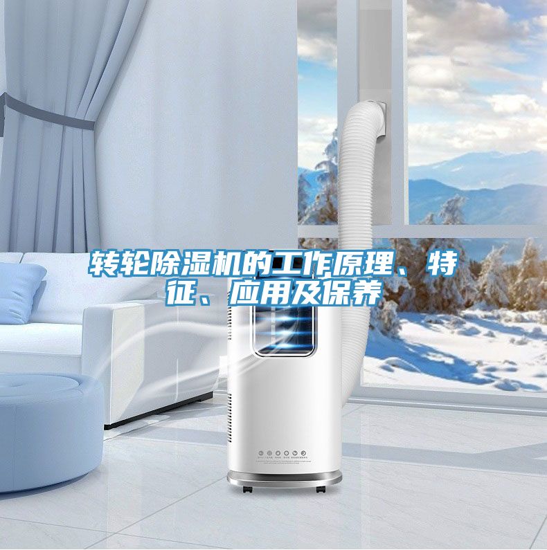 转轮91免费网站在线观看的工作原理、特征、应用及保养