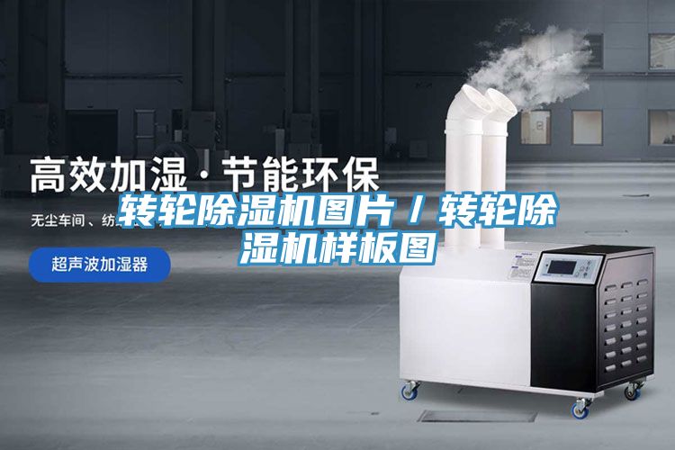 转轮91免费网站在线观看图片／转轮91免费网站在线观看样板图
