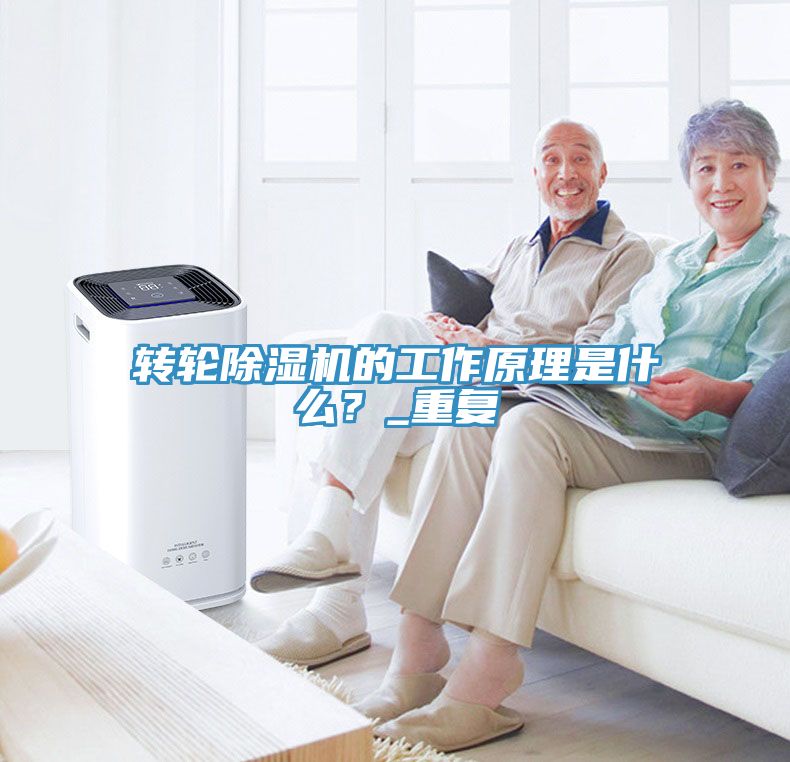 转轮91免费网站在线观看的工作原理是什么？_重复