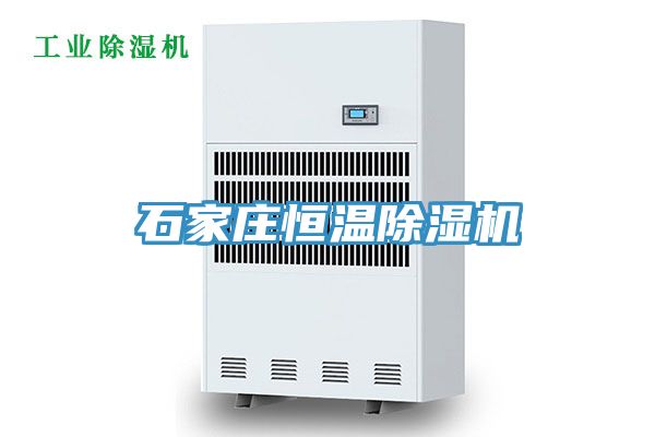 石家庄恒温91免费网站在线观看