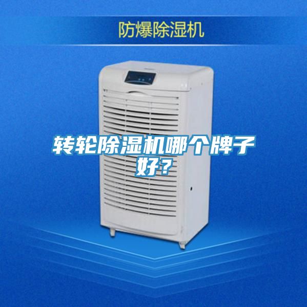 转轮91免费网站在线观看哪个牌子好？