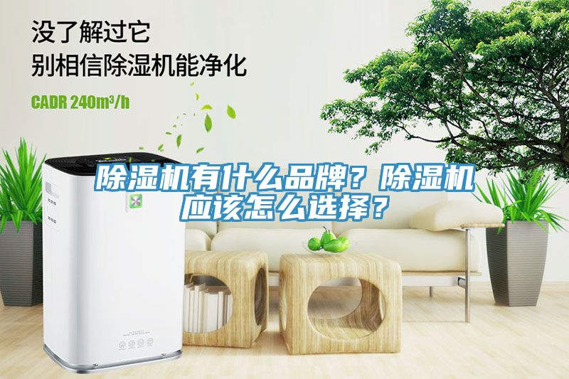 91免费网站在线观看有什么品牌？91免费网站在线观看应该怎么选择？