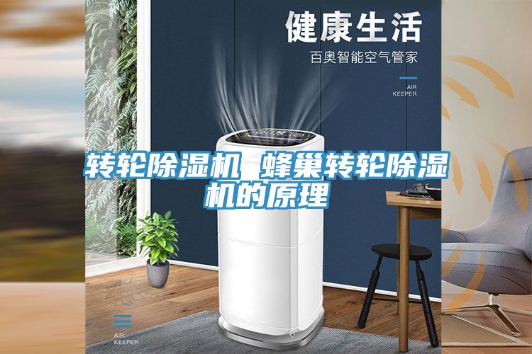 转轮91免费网站在线观看 蜂巢转轮91免费网站在线观看的原理